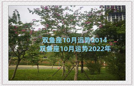 双鱼座10月运势2014 双鱼座10月运势2022年